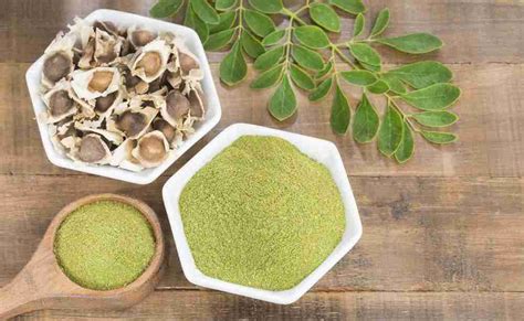 cobra malunggay|The Healing and Health Benefits of Malunggay (Moringa Oleifera).
